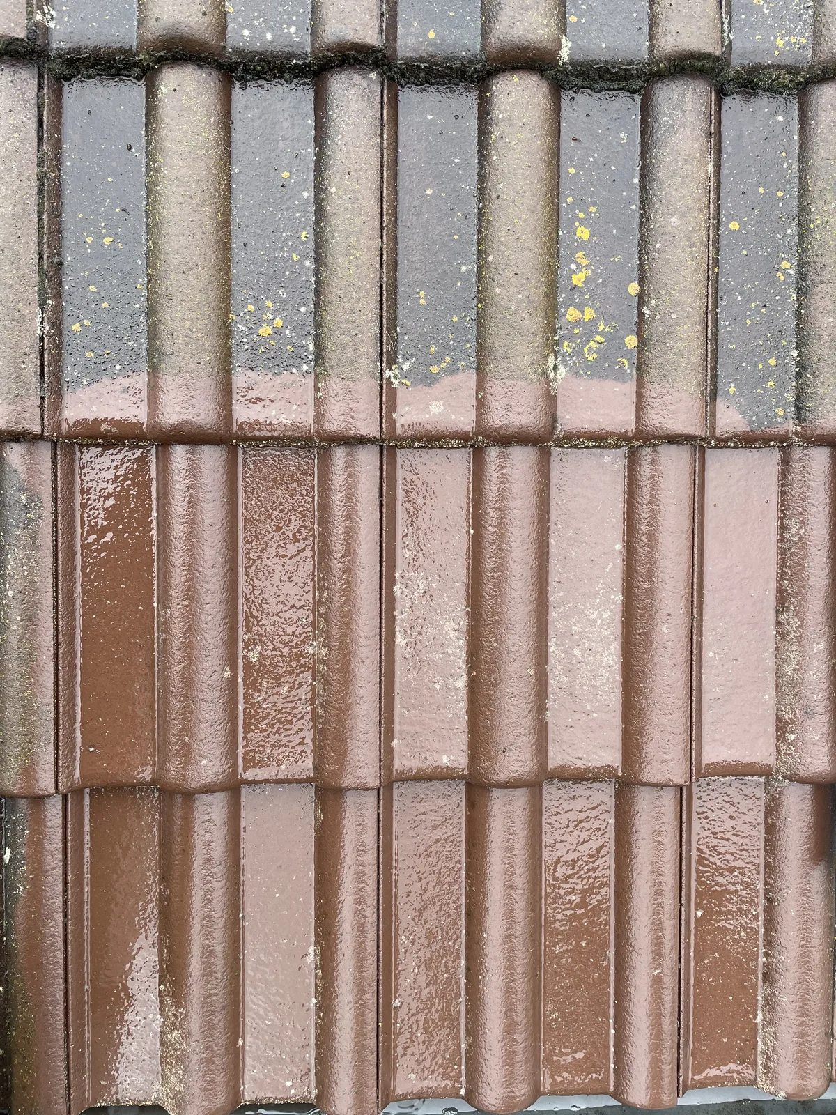 Gros plan sur des rangs de tuiles : partie supérieure encore marquée par des dépôts, partie inférieure humide et nettoyée